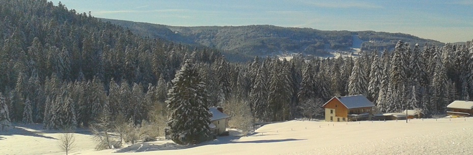 Gîte de bien être à Xonrupt 88400